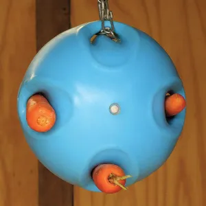 Carrot Ball