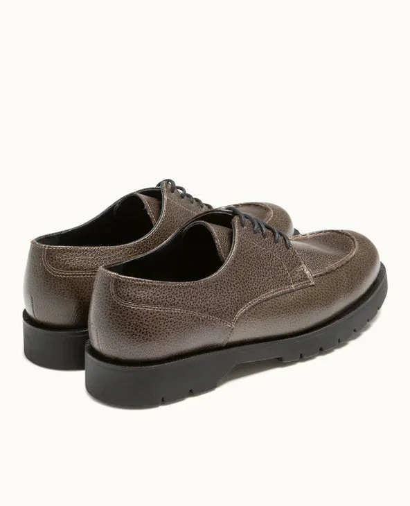 Frodan B VGT derby - Chestnut