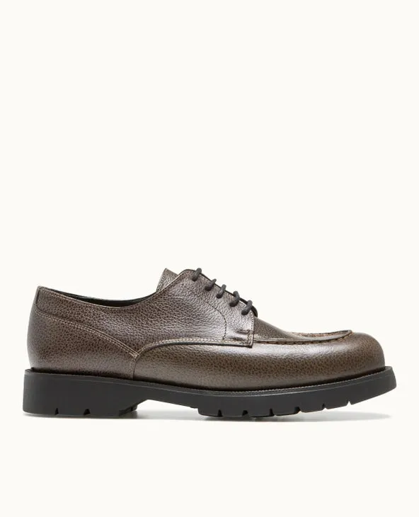 Frodan B VGT derby - Chestnut