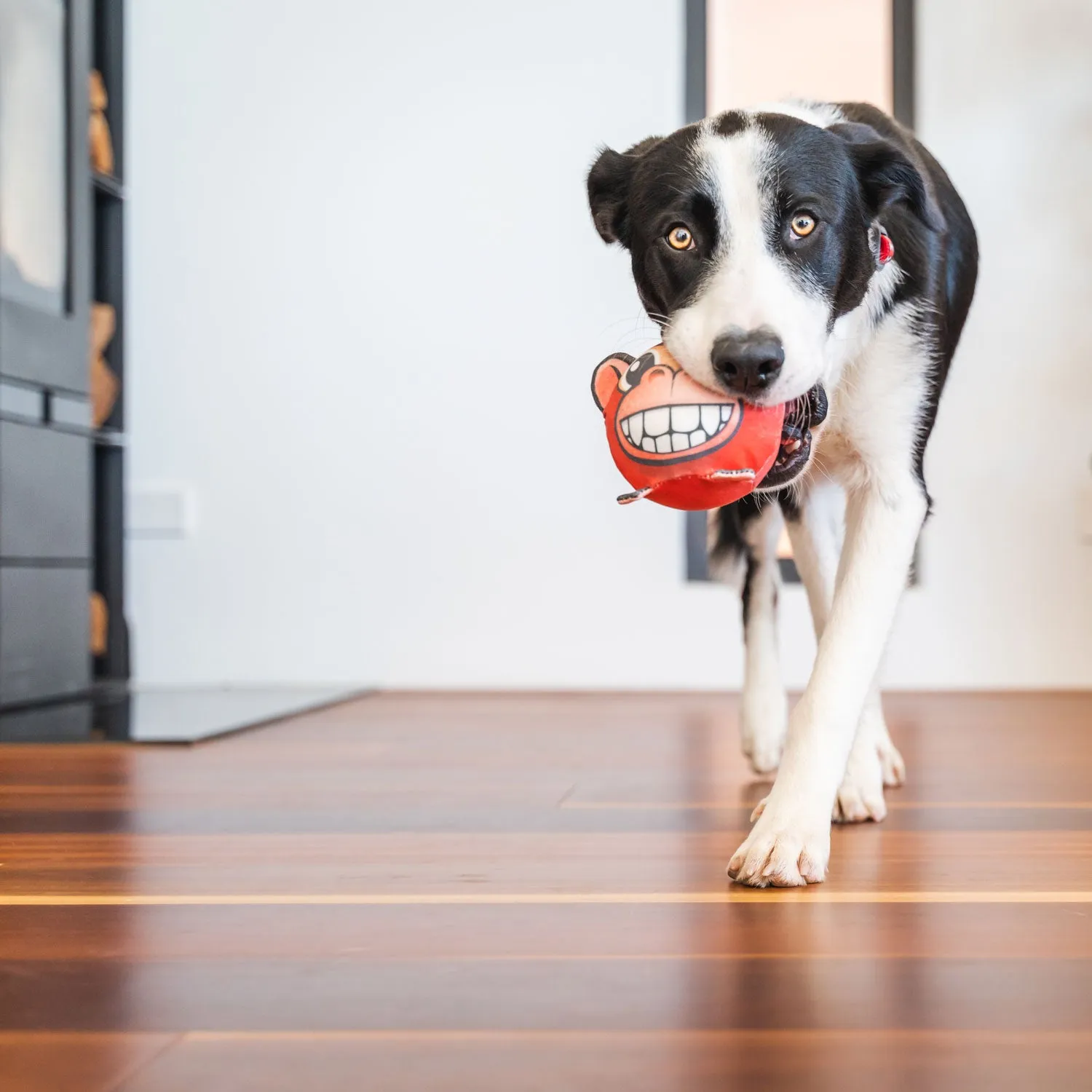 Red Dingo Harry the Hippo Durables Ball