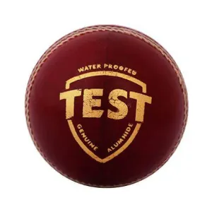 SG Test Cricket Ball Red